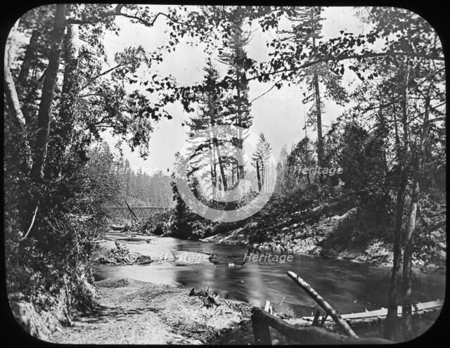 Backwoods, Western USA, late 19th or early 20th century. Artist: Unknown