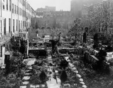 Backyard gardens in New York City, 1920. Creator: Frances Benjamin Johnston