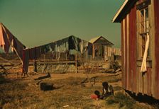Backyard of Negro tenant's home, Marcella Plantation, Mileston, Miss. Delta, 1939. Creator: Marion Post Wolcott