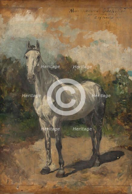 Bachelor, artist's horse, 1871. Creator: Jean Louis Ernest Meissonier.