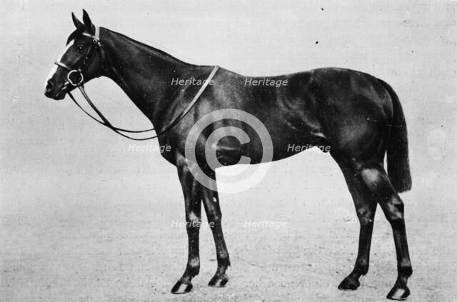 'Bachelor's Double', 1911. Artist: Unknown.