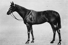 Bachelor's Double 1911