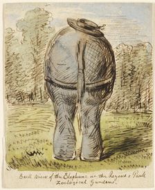 Back View of the Elephant at the Regent's Park Zoological Gardens, n.d. Creator: John Leech