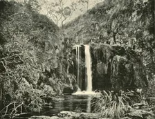 Back Creek Falls, Buchan River, Victoria 1901. Creator: Unknown