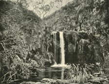 Back Creek Falls, Buchan River, Victoria 1901. Creator: Unknown