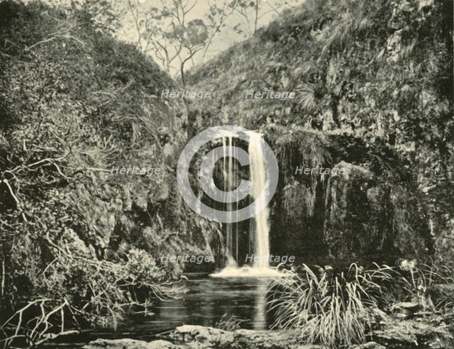 'Back Creek Falls, Buchan River, Victoria', 1901. Creator: Unknown.