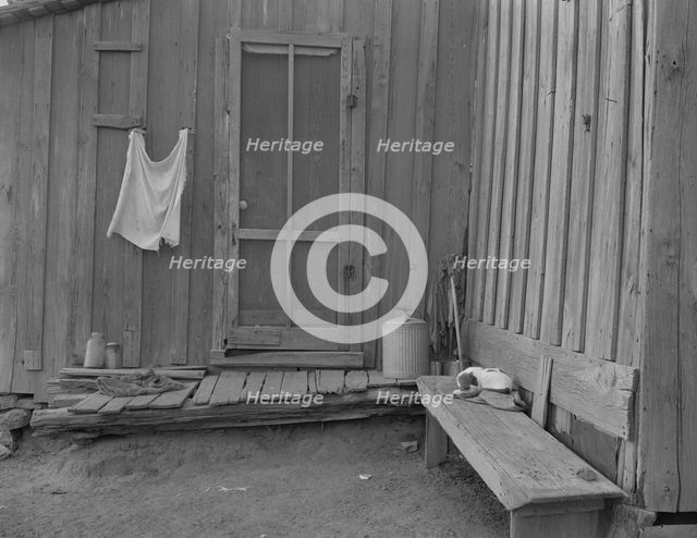 Back door of Texas tenant farmer's house, 1937. Creator: Dorothea Lange.