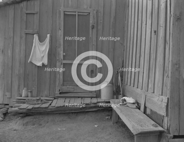 Back door of Texas tenant farmer's house, 1937. Creator: Dorothea Lange.