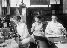 Bacteriology - Dr. George Stiles, 1912. Creator: Harris & Ewing