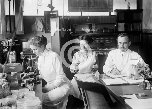 Bacteriology - Dr. George Stiles, 1912. Creator: Harris & Ewing.