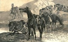 Bad news from the Front 1886. Creator: Unknown