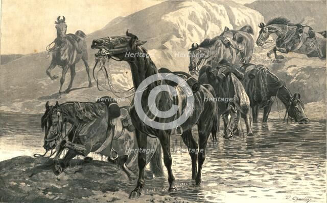 'Bad news from the Front', 1886.  Creator: Unknown.