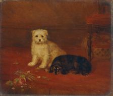 Bad and Bijou 1844-1857. Creator: BA Howe