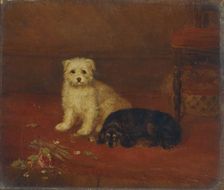 Bad and Bijou 1844-1857. Artist: BA Howe