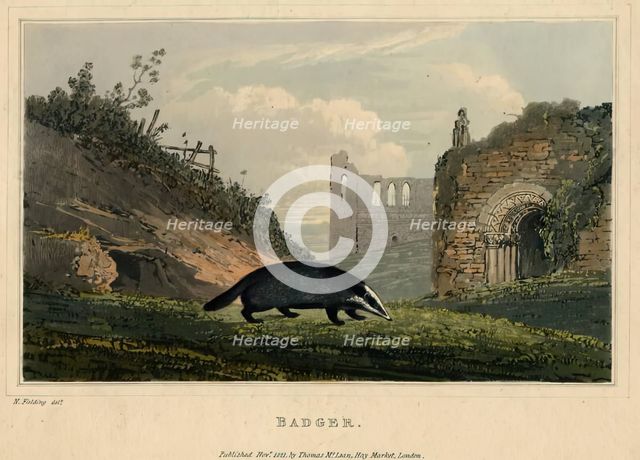 Badger, 1821. Creator: Newton Smith Limbird Fielding.