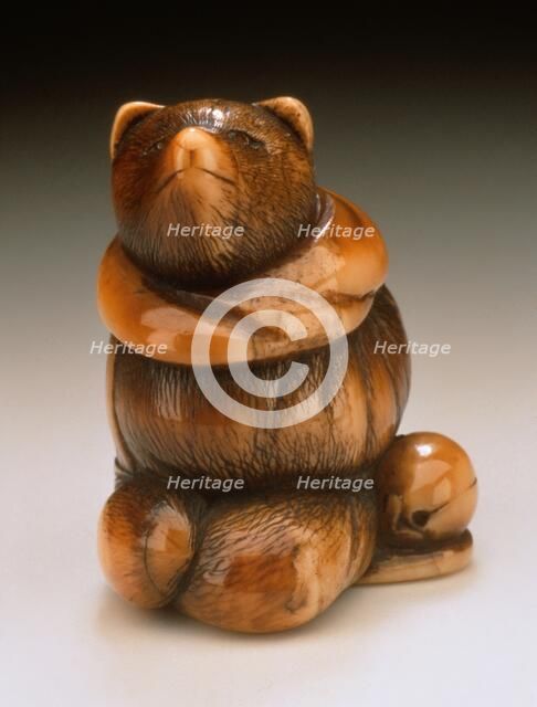 Badger Disguised as a Priest, 19th century. Creator: Unknown.