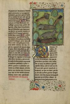 Badgers; Livre de la Chasse, about 1430-1440. Creator: Unknown