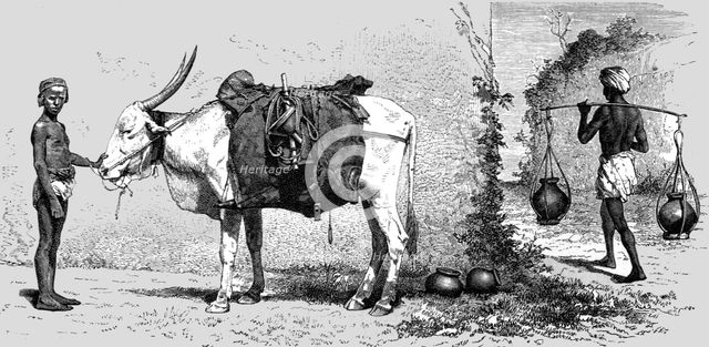 'Baggage-animal, India; Black Bear shooting in the Himalayas', 1875. Creator: G. Beste.