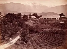 Baijnath tea factory, 1860s. Creator: Unknown
