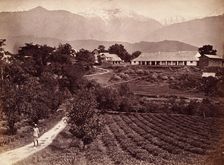 Baijnath tea factory, 1860s. Creator: Unknown