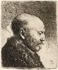 Bald headed man in profile right: Rembrandt's father? 1630. Creator: Rembrandt Harmensz van Rijn