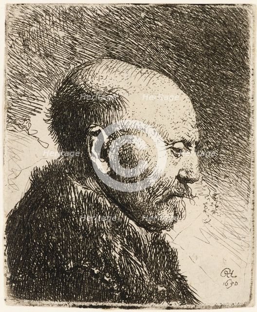 Bald headed man in profile right: Rembrandt's father? 1630. Creator: Rembrandt Harmensz van Rijn.