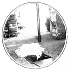 Bales of compressed cotton as received in Manchester..., 1909. Creator: Unknown