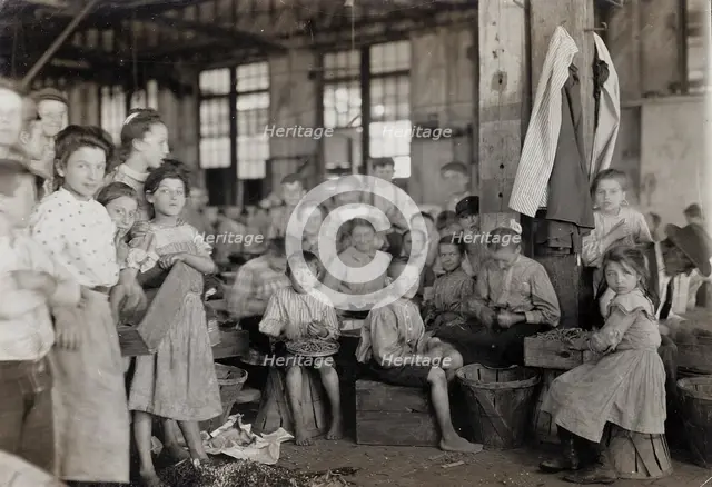 Baltimore, Maryland, 1909. Creator: Lewis Wickes Hine.