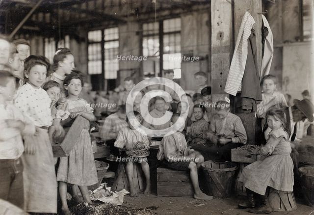 Baltimore, Maryland, 1909. Creator: Lewis Wickes Hine.
