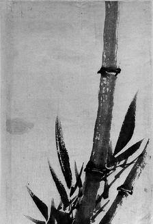 Bamboo, 18th-19th century. Creator: Hokusai