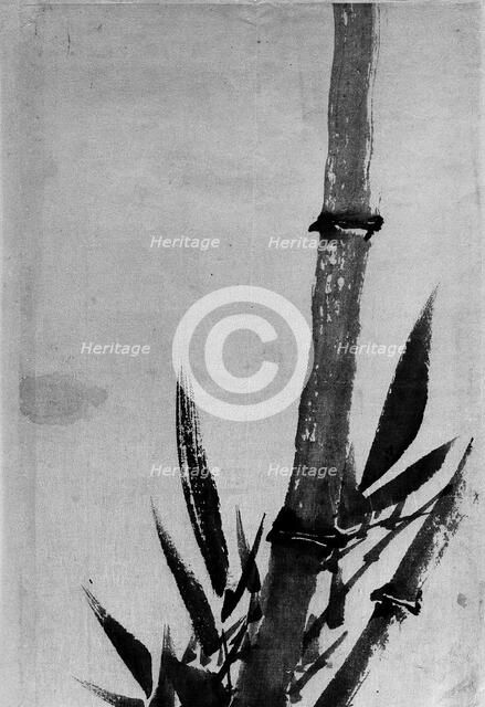 Bamboo, 18th-19th century. Creator: Hokusai.