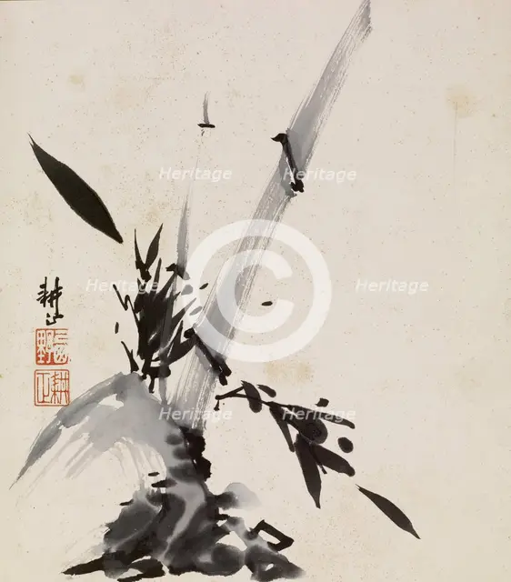 Bamboo, 1900-1950. Creator: Unknown.