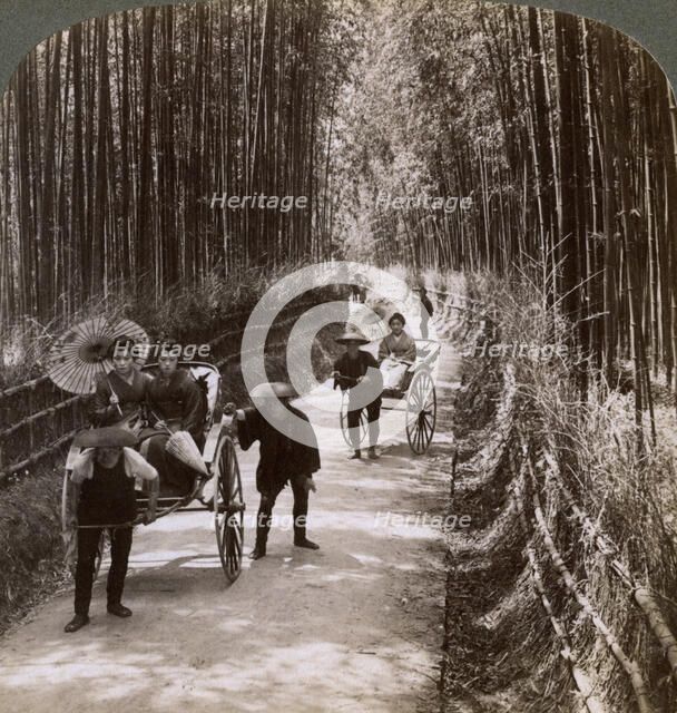 Bamboo avenue, looking south-west, near Kiyomizu, Kyoto, Japan, 1904. Artist: Underwood & Underwood
