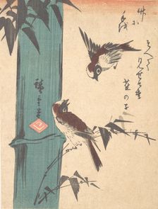 Bamboo and Sparrows, ca. 1840., ca. 1840. Creator: Ando Hiroshige