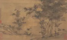 Bamboo. Creator: Unknown
