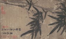 Bamboo. Creator: Unknown
