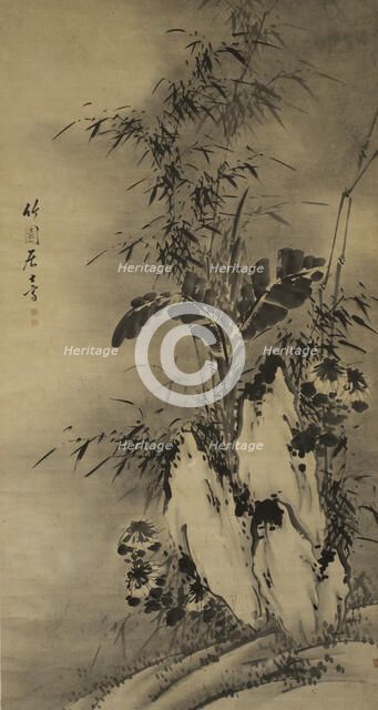 Bamboo. Creator: Unknown.