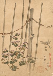 Bamboo Fence and Chrysanthemums, c. 1890. Creator: Kono Bairei (Japanese, 1844-1895)