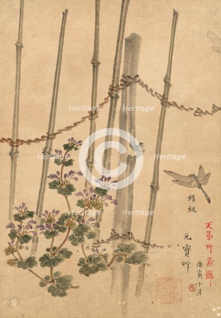 Bamboo Fence and Chrysanthemums, c. 1890. Creator: Kono Bairei (Japanese, 1844-1895).