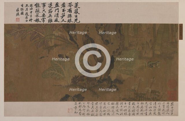 Bamboo, frog, and insects, Ming dynasty, 1368-1644. Creator: Unknown.