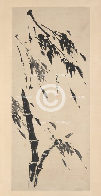 Bamboo in the Wind. Creator: Taiho Shoko.