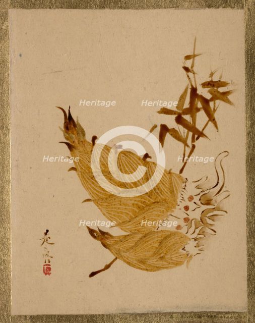 Bamboo Shoots, ca. 1880s. Creator: Shibata Zeshin.