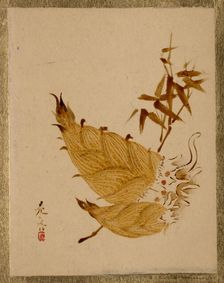 Bamboo Shoots, ca. 1880s. Creator: Shibata Zeshin