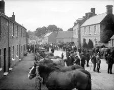 Bampton Horse Fair, Bampton, Oxfordshire, 1904. Artist: Henry Taunt