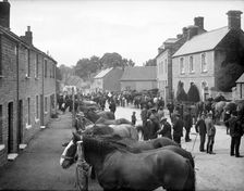 Bampton Horse Fair, Bampton, Oxfordshire, 1904. Artist: Henry Taunt