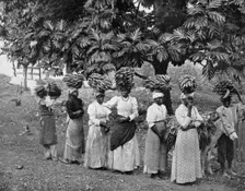 Banana carriers, Jamaica, c1905. Artist: Adolphe Duperly & Son