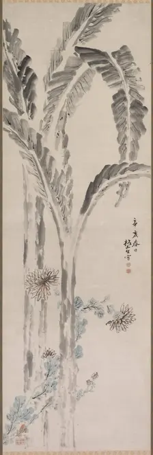 Banana Plant and Chrysanthemum (?), 19th century. Creator: Tsubaki Chinzan (Japanese, 1801-1854)