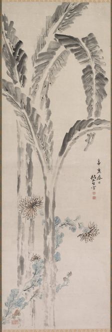 Banana Plant and Chrysanthemum (?), 19th century. Creator: Tsubaki Chinzan (Japanese, 1801-1854)
