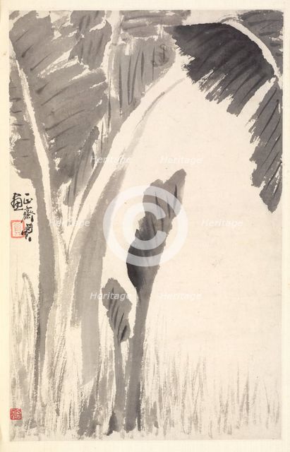 Banana Plants, 1788. Creator: Min Zhen (Chinese, 1730-after 1788).