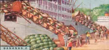 Bananas 2. - Loading a Steamship, Costa Rica 1928